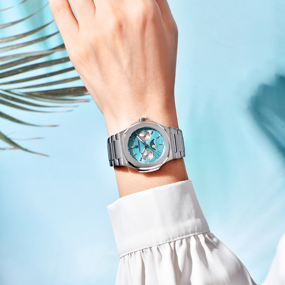 PAGANI DESIGN New luxury Men's - Chronograph Sport Watch recension och pris